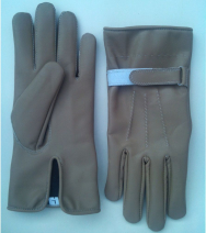 Fashion Gloves